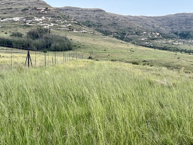 0 Bedroom Property for Sale in Fouriesburg Free State